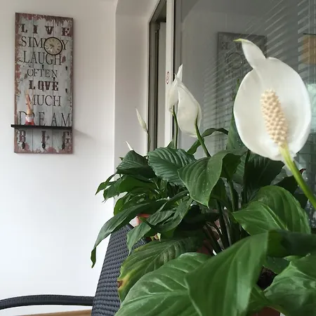 Апартамент За Гости 