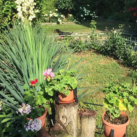 Апартамент За Гости 