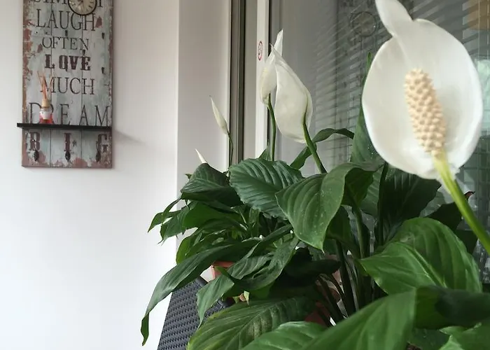 Апартамент За Гости 