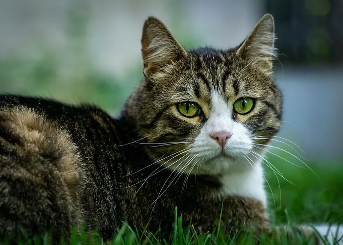 Апартамент За Гости 