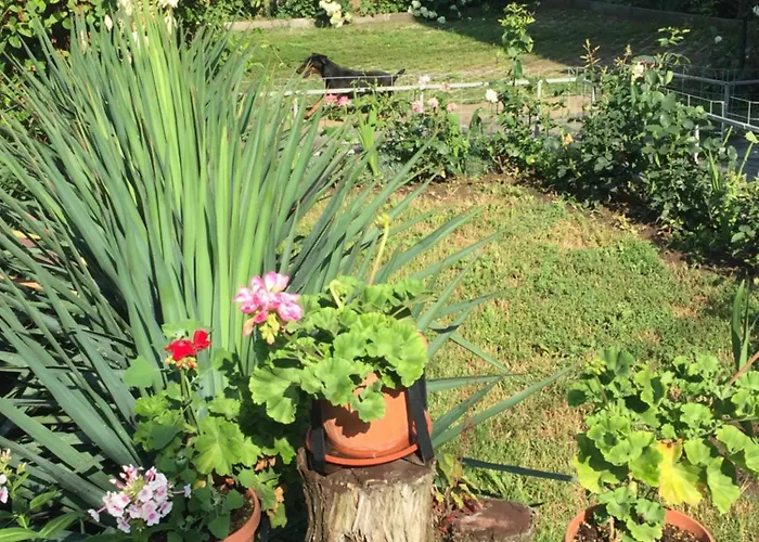 Апартамент За Гости 