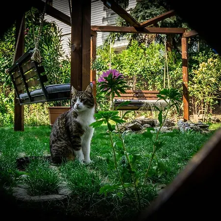 Апартамент За Гости 