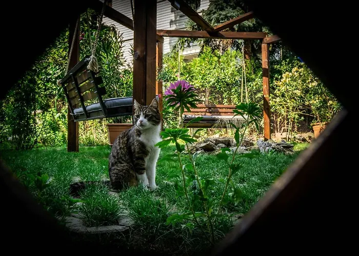 Апартамент За Гости 